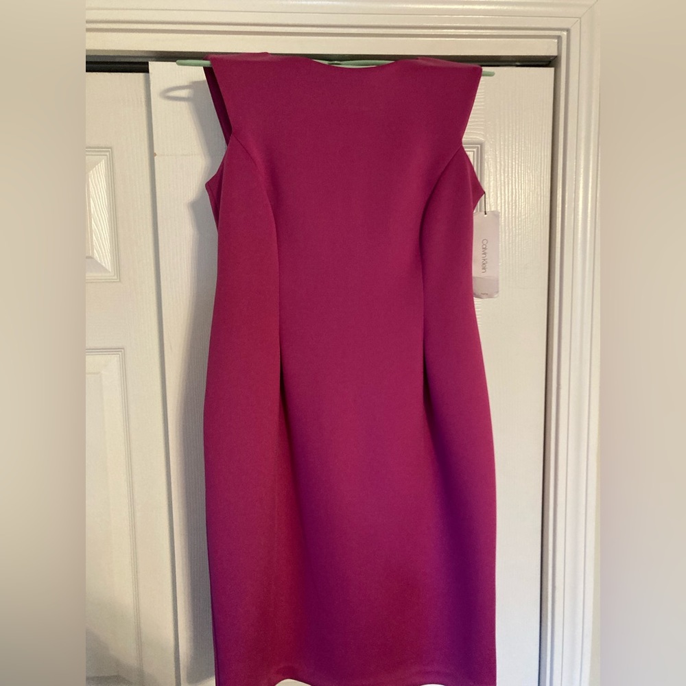 Calvin Klein size 6 PETITE mid length pink dress with golden accent zipper.